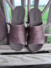 Load image into Gallery viewer, Saddle Up Wedges